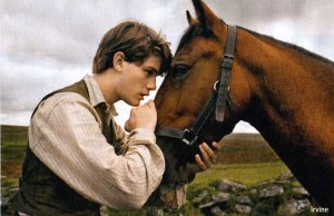 War Horse