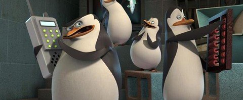 Madagascar Pinguinos