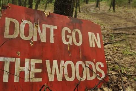 dont go into the woods