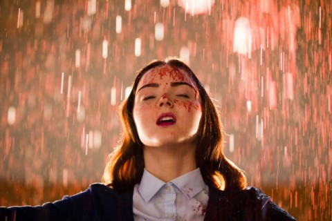 lily cole moth diaries
