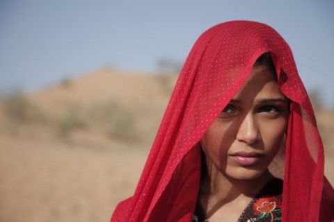 trishna freida pinto