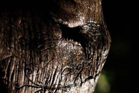 el monstro cinco mayo