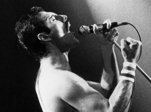 freddy mercury