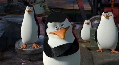madagascar fugitivos pinguinos