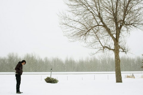 For Ellen Paul Dano pelicula