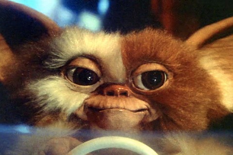 gizmo gremlins