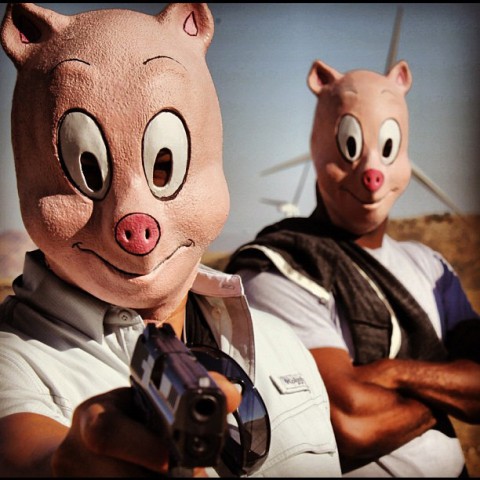 que paso ayer 3 puercos pistolas