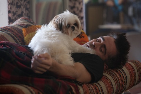 siete psicopatas perro colin farrell