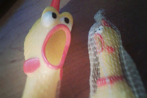 cinercast cinergetica pollo hijo