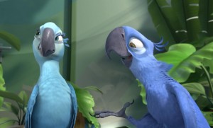 rio jewel y blu