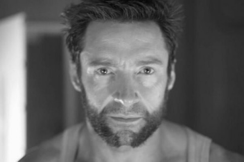 hugh jackman retrato wolverine
