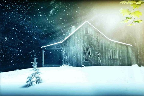 la cabaña de paul william young