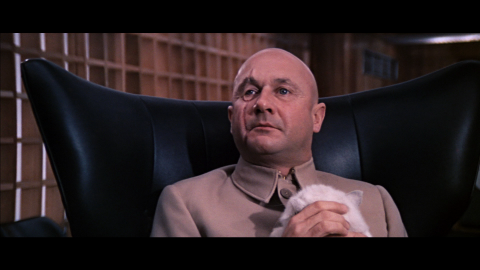 Ernst Stavro Blofeld con gato