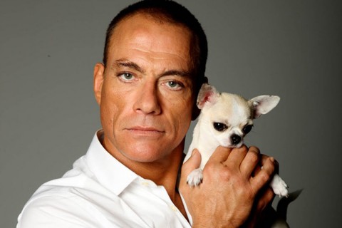 jean claude van damme