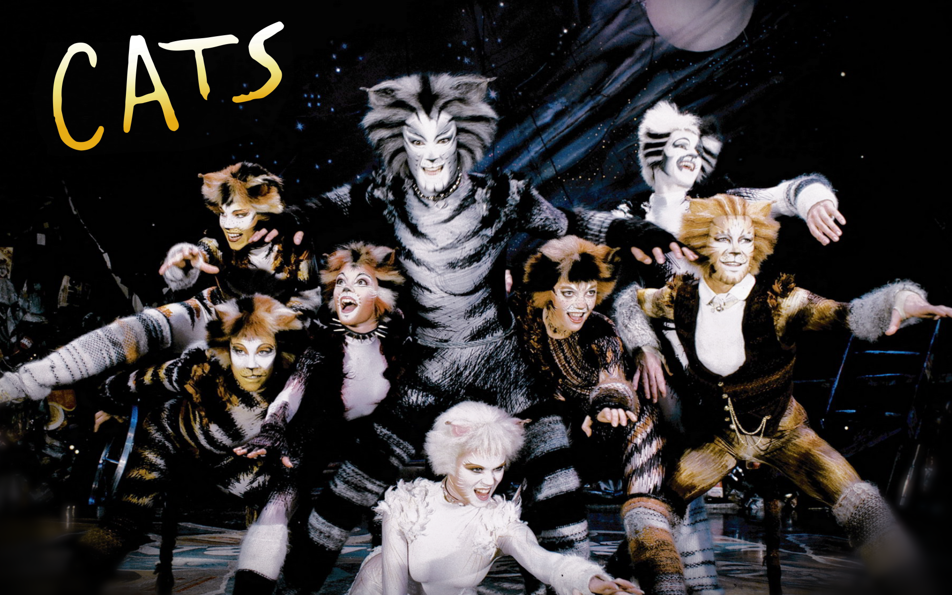 cats musical furries