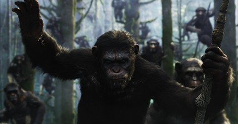 caesar dawn of the planet of the apes