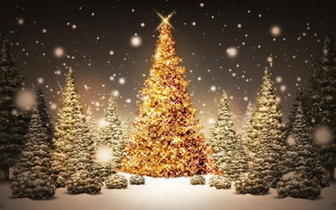 feliz navidad
