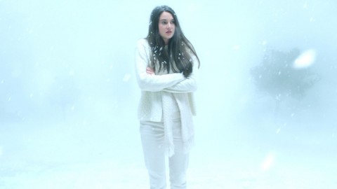 white bird in a blizzard shailene woodley
