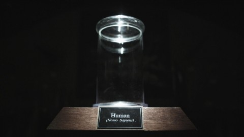 museo de penes the final member