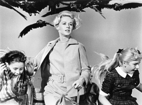 pajaros hitchcock