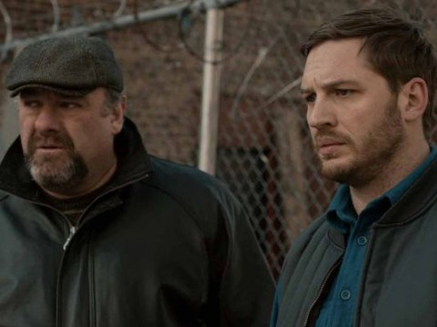 the drop james gandolfini tom hardy
