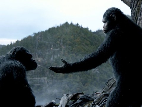 planeta de los simios confrontacion cesar