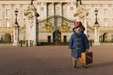 paddington pelicula oso adorable