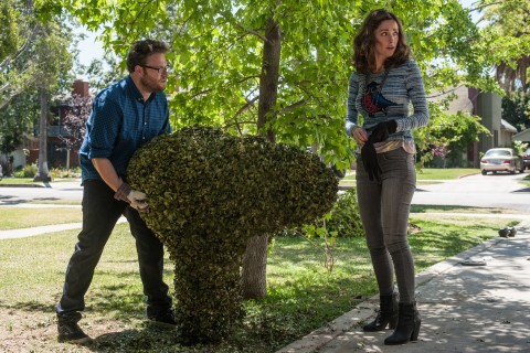buenso vecinos seth rogen rose byrne