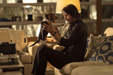 keanu reeves john wick cachorro