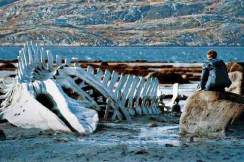 leviathan filme ruso