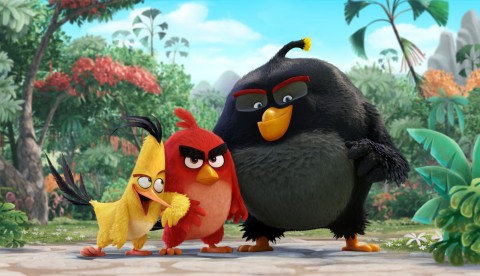 angry birds pelicula