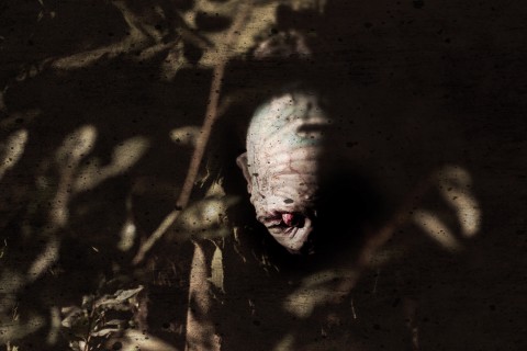 Digging up the Marrow