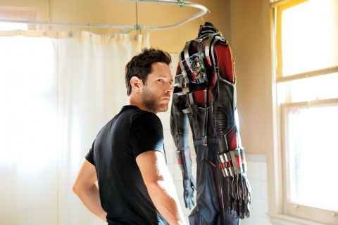 paul rudd ant man hombre hormiga