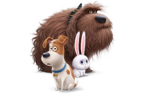 vida secreta de tus mascotas pelicula