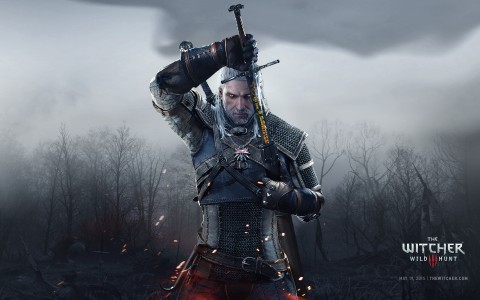 wild hunt the witcher