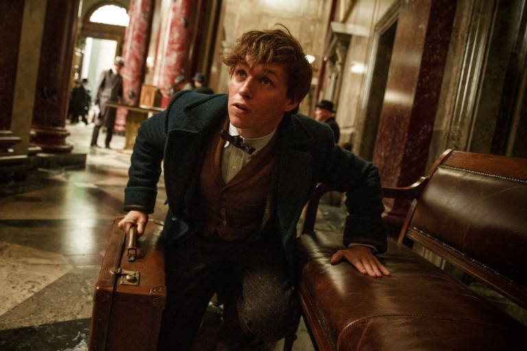 eddie redmayne newt scamander animales fantasticos