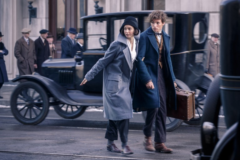 katherine waterston eddie redmayne animales fantasticos