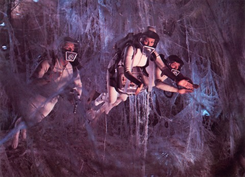 fantastic voyage viaje fantastico