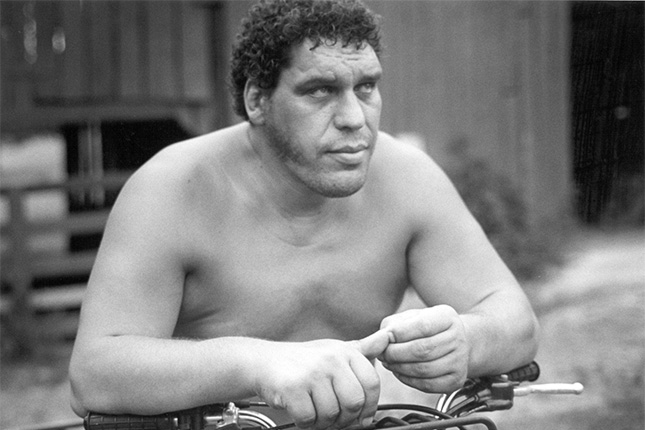 Andre-the-Giant-Net-Worth