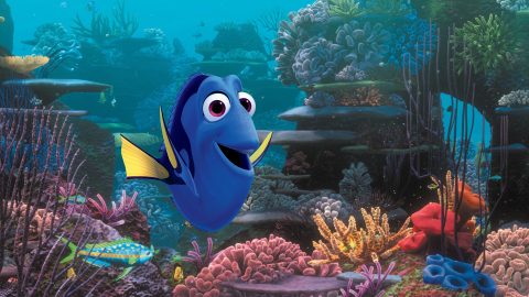 buscando a dory
