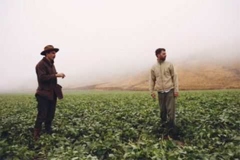 Paul-Thomas-Anderson-Day-Lewis