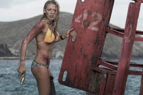 the-shallows