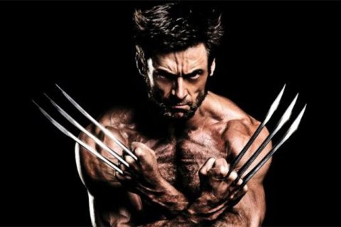wolverine