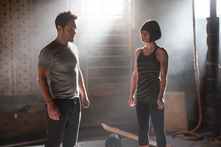 ant-man evangeline lilly paul rudd