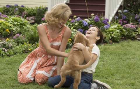 a-dogs-purpose-movie-image-600x385