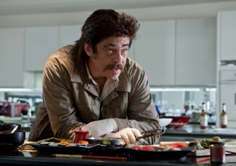 savages-image-benicio-del-toro-600x421