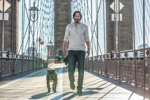 john wick chapter 2 perro keanu reeves