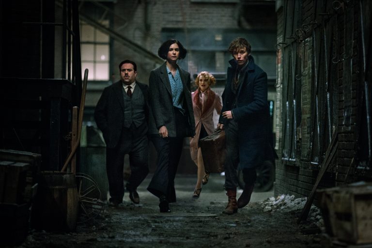 animales fantasticos elenco