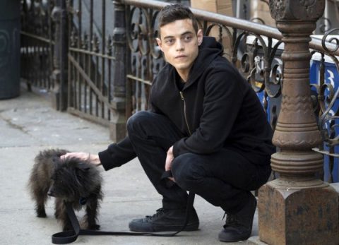 mr-robot-image-rami-malek-600x434