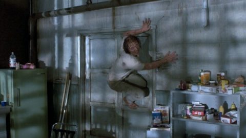 the-fly-jeff-goldblum-600x338